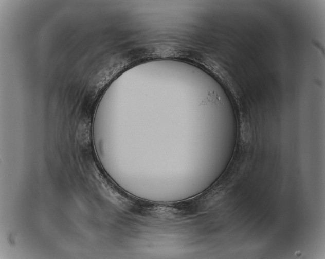 X0000103900393200809191244
