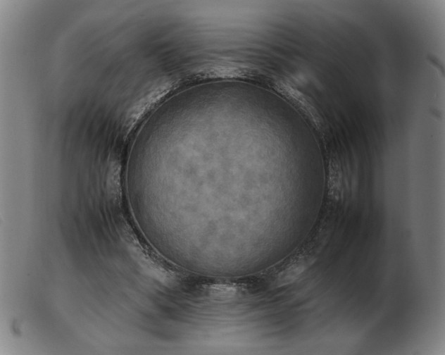 X0000103900394200809191244