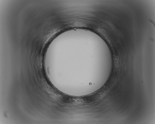 X0000103900395200809191244