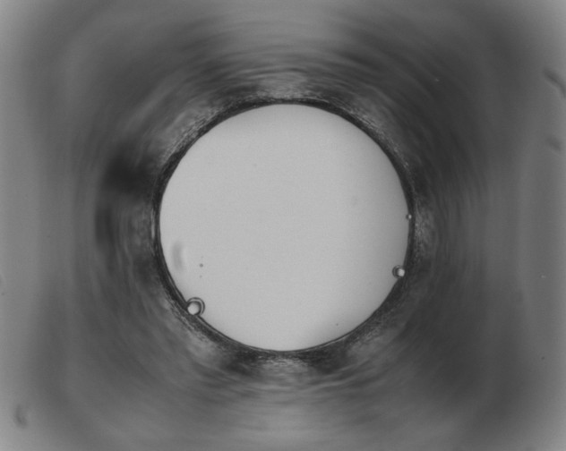 X0000103900397200809191243