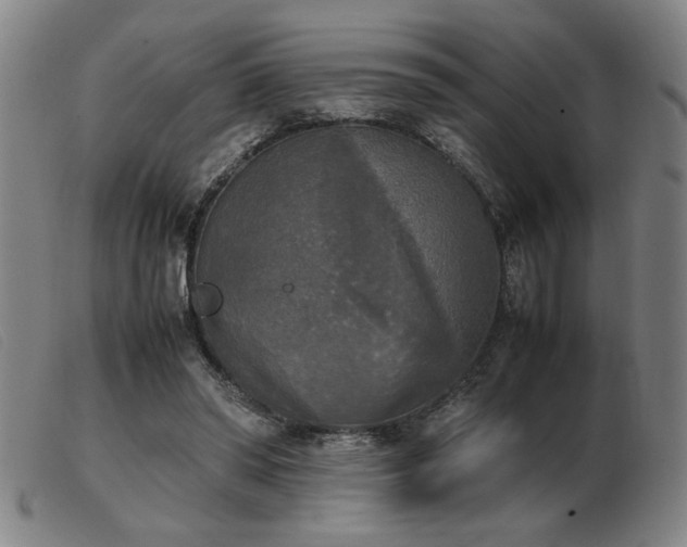 X0000103900398200809191243
