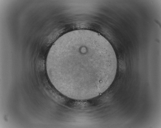 X0000103900401200809191243