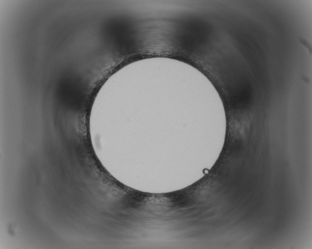 X0000103900403200809191243