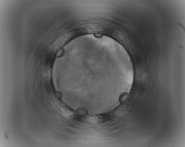 X0000103900405200809191243