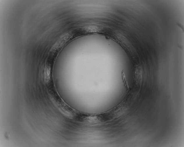 X0000103900406200809191243