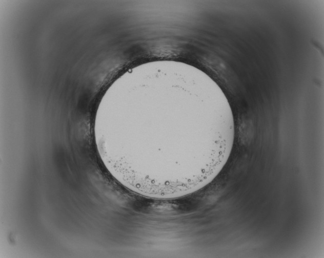 X0000103900407200809191243