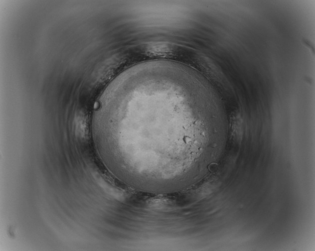 X0000103900408200809191243