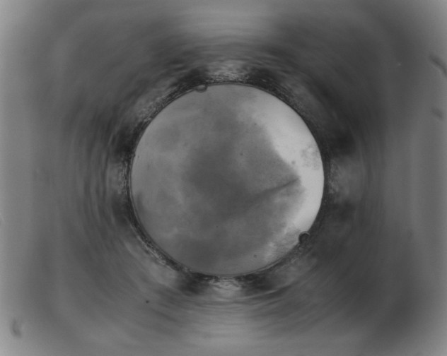 X0000103900409200809191243