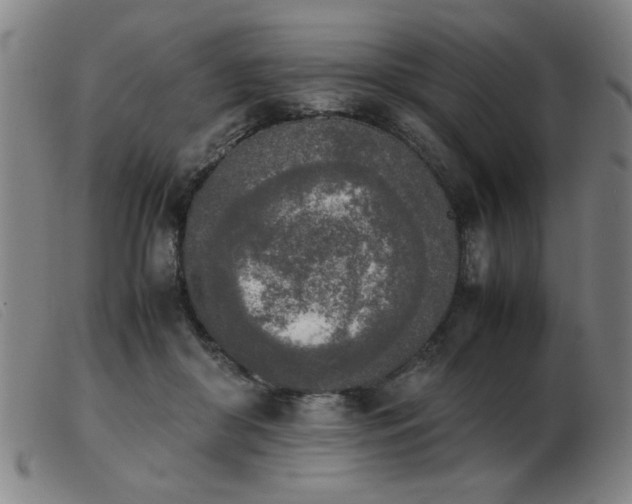 X0000103900410200809191243