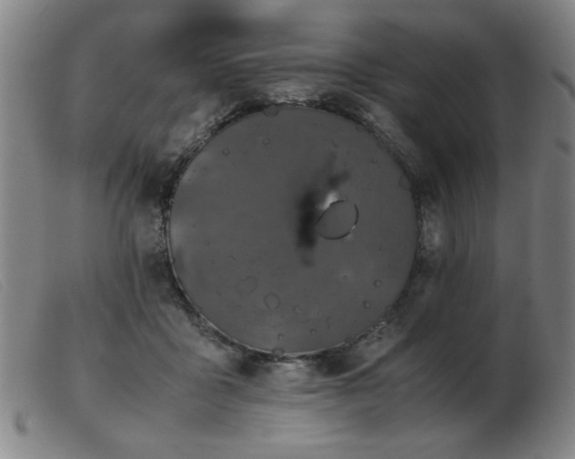 X0000103900411200809191243