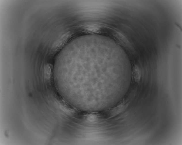 X0000103900412200809191243
