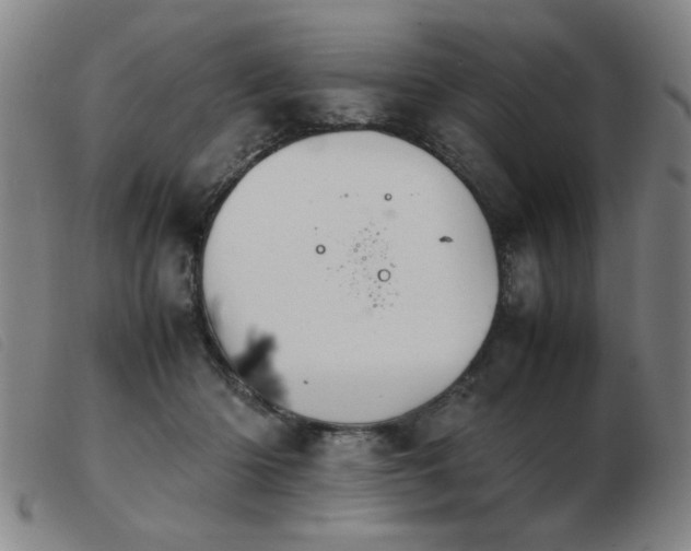 X0000103900414200809191243