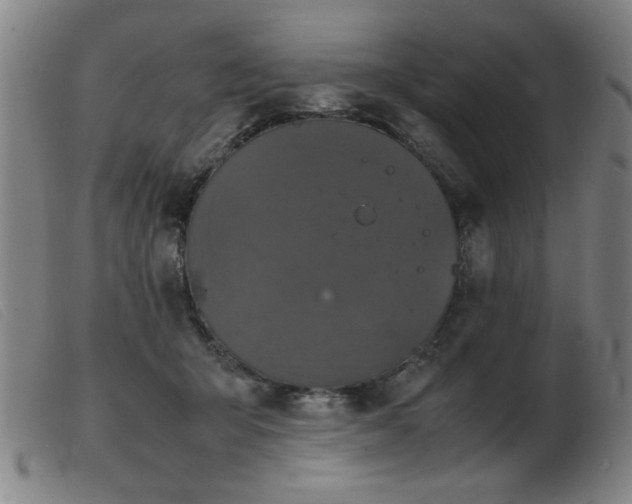 X0000103900415200809191243