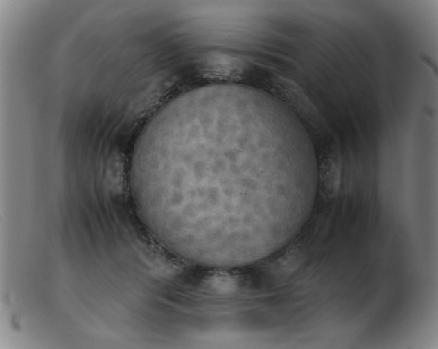 X0000103900416200809191243