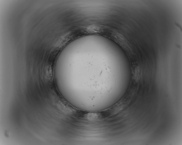 X0000103900418200809191243