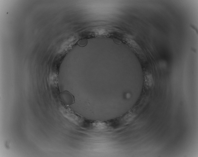 X0000103900419200809191243