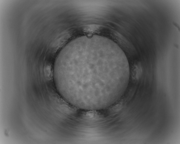 X0000103900420200809191243