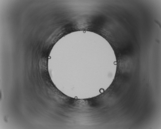 X0000103900421200809191243