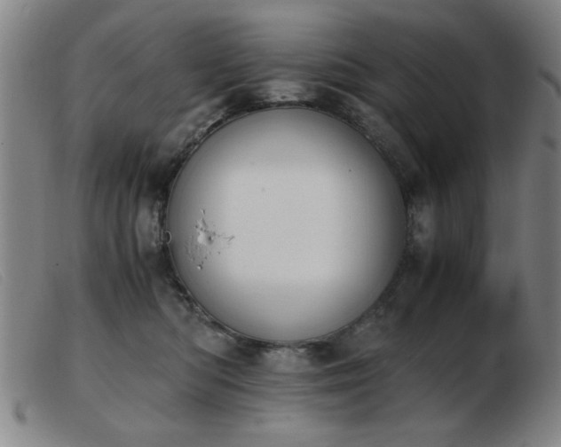 X0000103900422200809191243