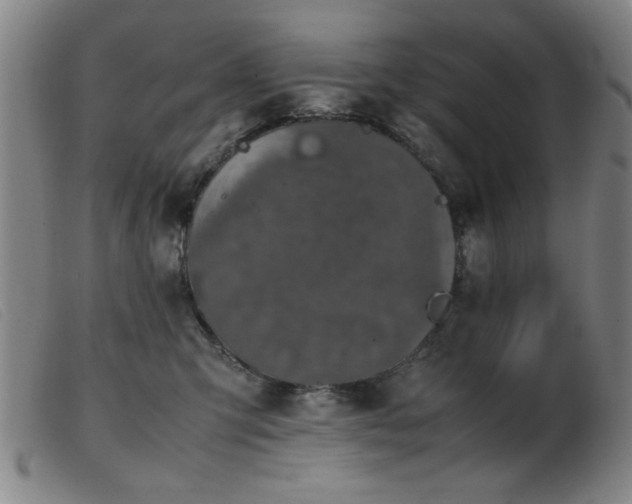 X0000103900423200809191243