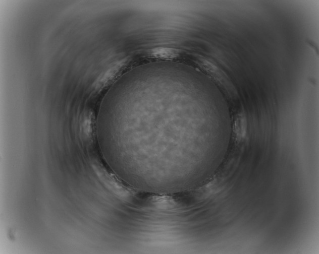 X0000103900424200809191243