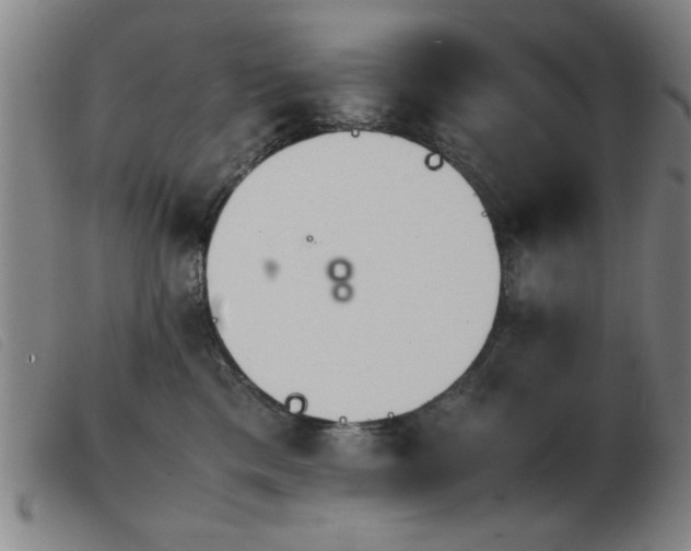 X0000103900425200809191243