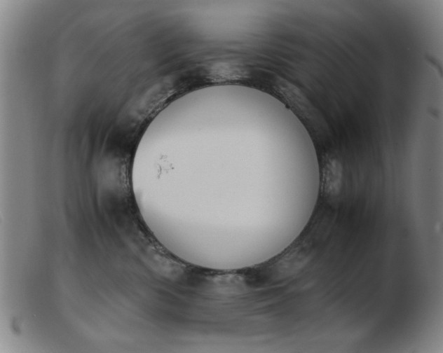 X0000103900426200809191243