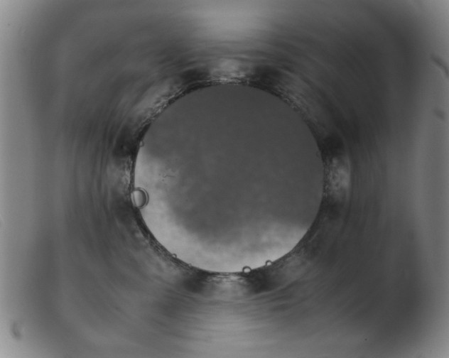 X0000103900427200809191243