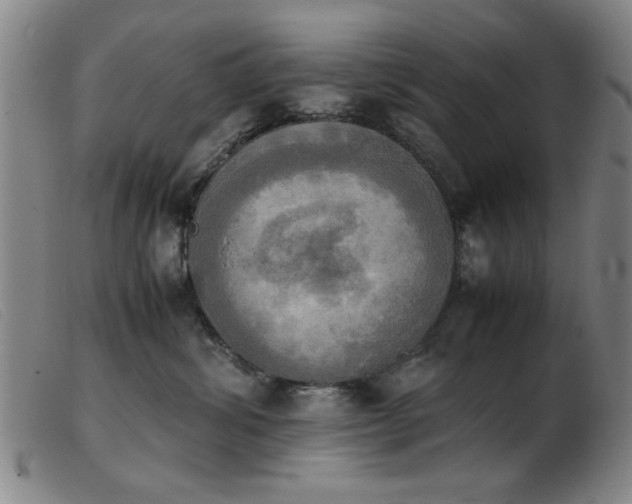 X0000103900428200809191243
