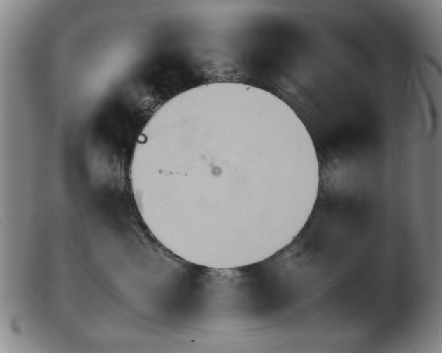 X0000103900429200809191243