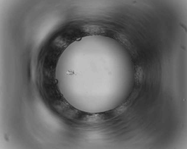 X0000103900430200809191243