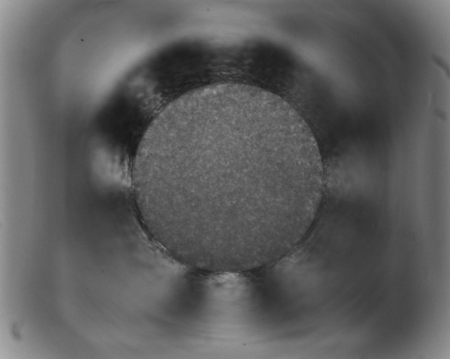 X0000103900431200809191243