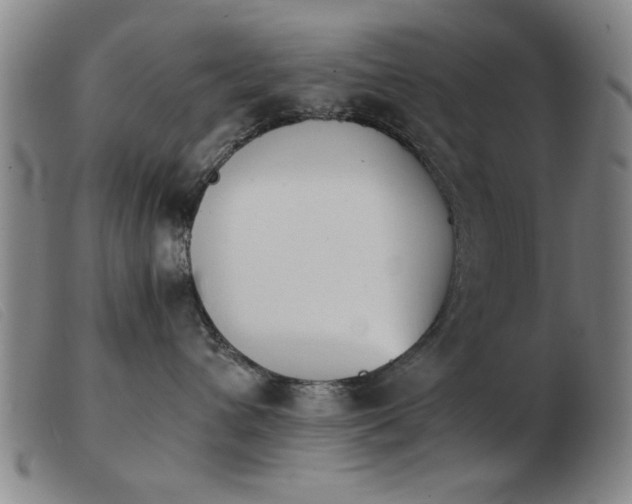 X0000103900432200809191243