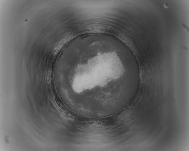 X0000103900434200809191242