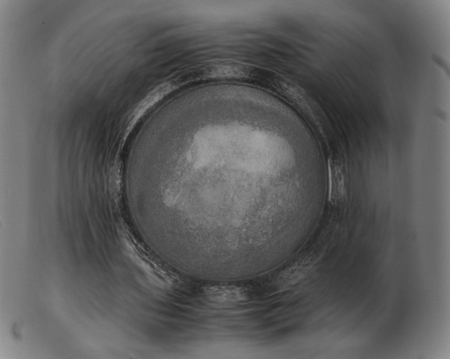X0000103900435200809191242