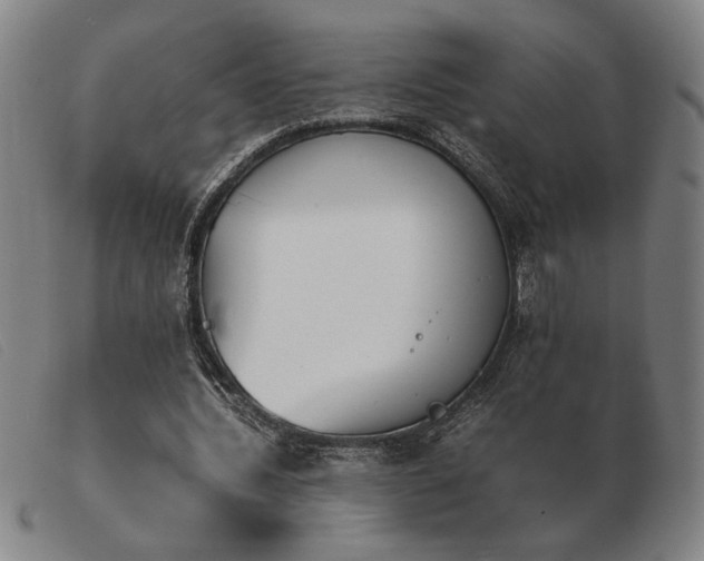 X0000103900436200809191242