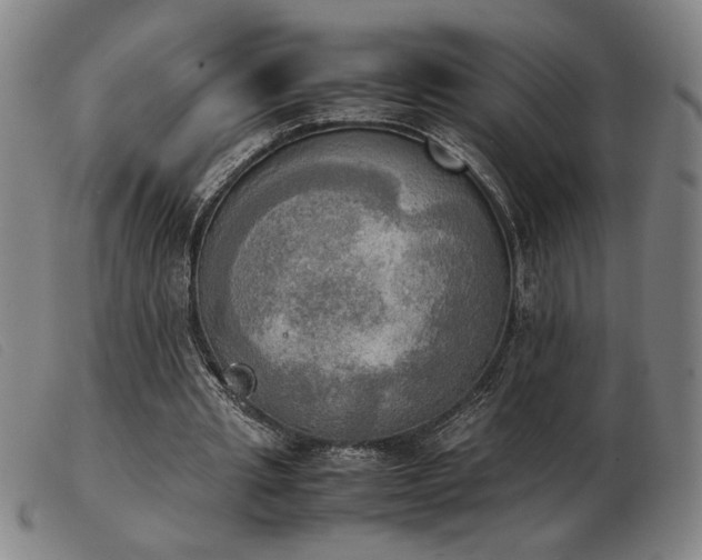 X0000103900437200809191242
