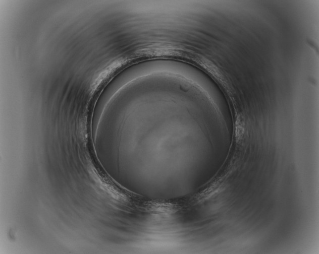 X0000103900438200809191242