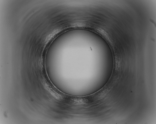 X0000103900439200809191242