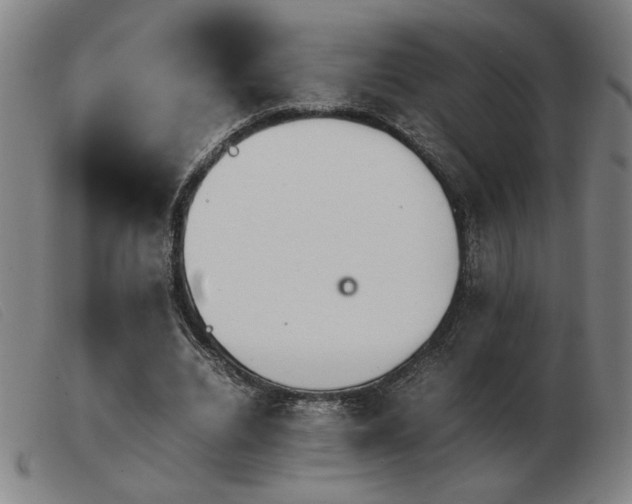 X0000103900440200809191242