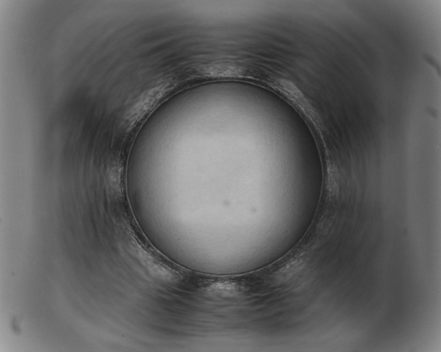 X0000103900441200809191242