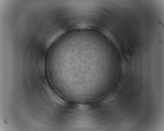 X0000103900442200809191242