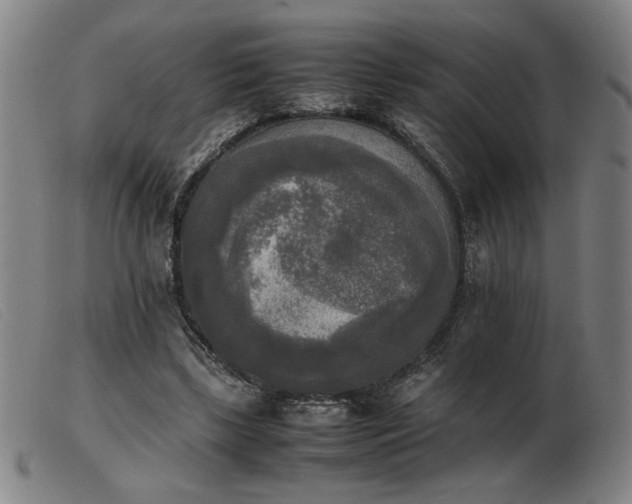 X0000103900443200809191242