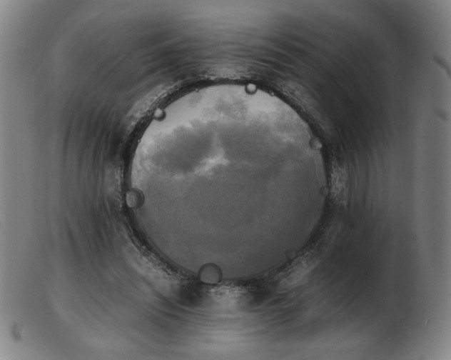 X0000103900444200809191242
