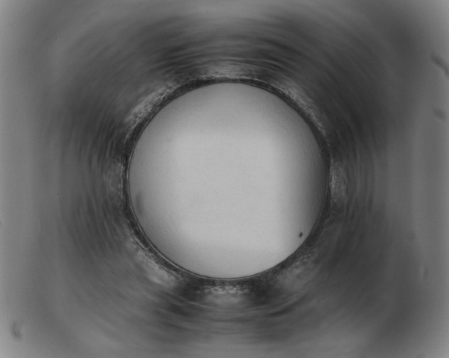 X0000103900445200809191242