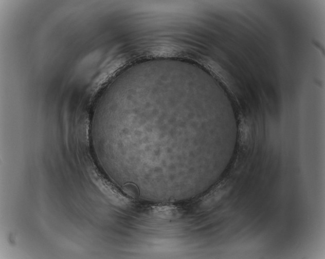 X0000103900446200809191242