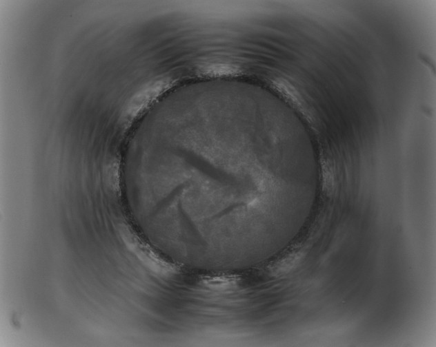 X0000103900447200809191242