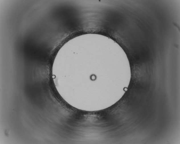 X0000103900448200809191242