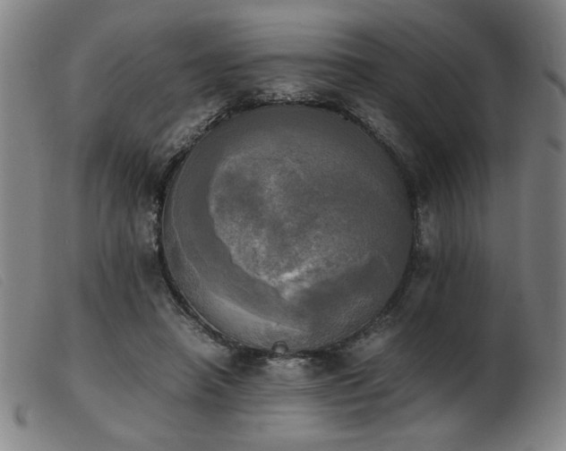 X0000103900450200809191242