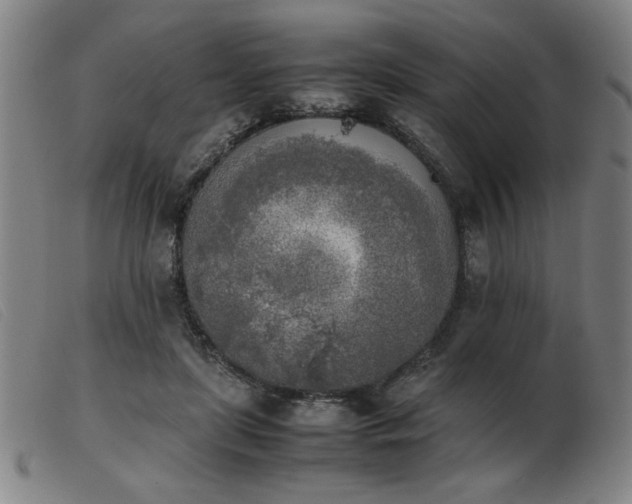 X0000103900451200809191242